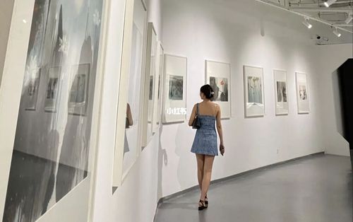 好出片的水墨画展_金鸡湖_景点_画展_摄影_艺术馆_苏州金鸡湖美术馆
