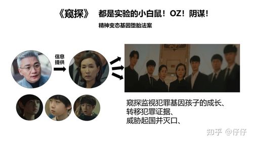 韩剧《窥探》剧情介绍/人物关系