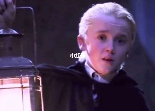 德拉科61马尔福_德拉科马尔福_娱乐_明星娱乐资讯