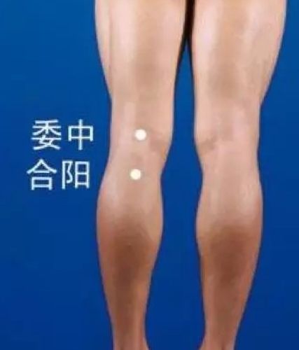 人体主要穴位位置图(二)