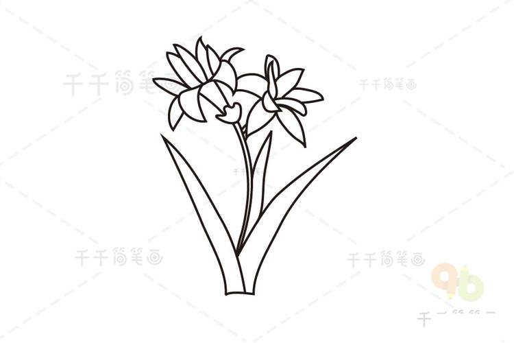 简单易学的晚香玉简笔画教 植物简笔画,花朵简笔画,晚香玉简笔画,各种