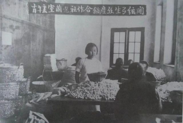 蚕丝专家费达生的百年人生