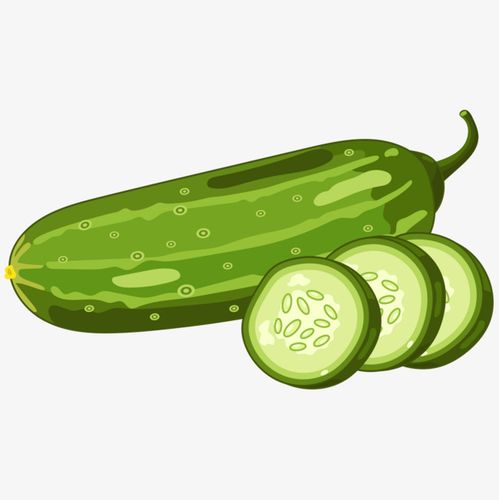 黄瓜图片卡通
