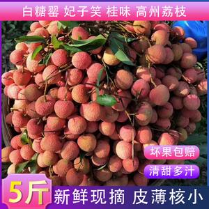 现货现摘新鲜白糖罂荔枝高州妃子笑桂味糯米滋当季黑叶水果5/10斤