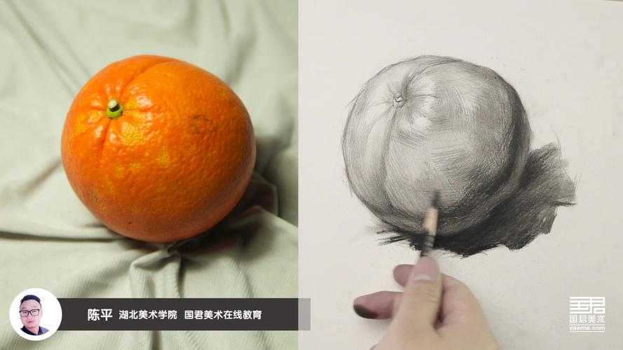 素描静物_结构素描_单体_桔子2_陈平