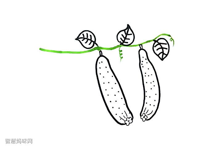 藤山长着的黄瓜怎么画
