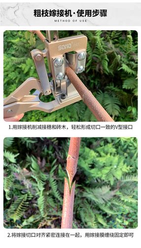 嫁接果树嫁接刀园林树苗嫁接机树木接树粗枝嫁接器
