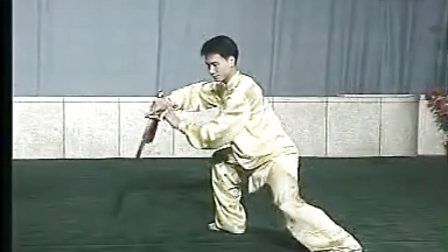 四十二式太极剑 李德印讲解 陈思坦示范 - 播单