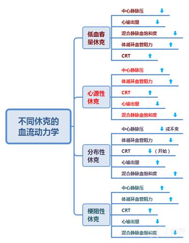 思维导图-各种休克与血管活性药物的使用