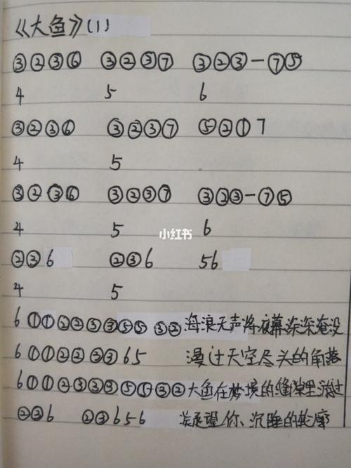 光遇琴谱《大鱼》