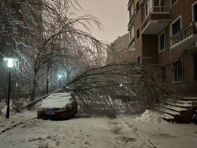 黑龙江迎来了暴风雪