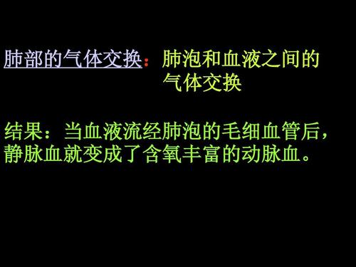 肺泡里的气体交换
