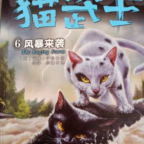 猫武士六部曲6风暴来袭