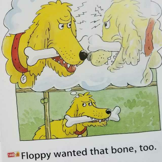 【floppy and the bone】在线收听_小海豚98dophin"s reading_荔枝