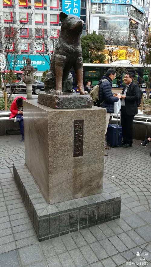 写美篇忠犬八公铜像 八公是一条狗,在日本大名鼎鼎,八公是忠诚的代名