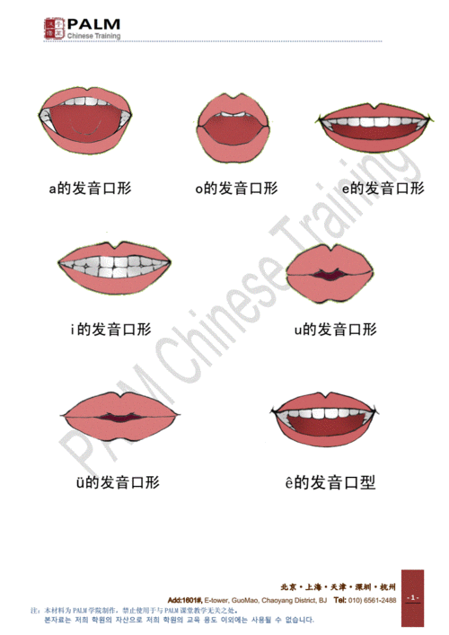 汉语拼音口型大全.doc 4页