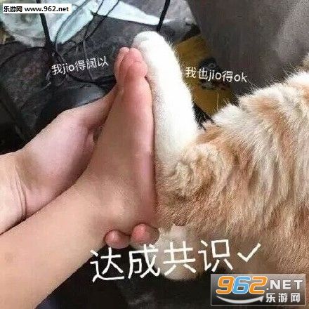 达成共识表情包小猪-达成共识表情包下载-乐游网游戏