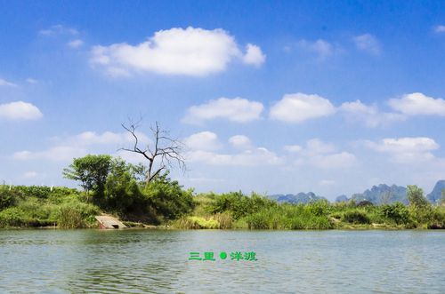 广西上林县三里洋渡景区 (共 15 p)