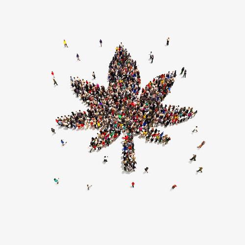 关键词 : 人山人海,人群,很多人,人群聚集,图形形状,枫叶