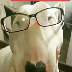 一刀苏苏,一种侃侃