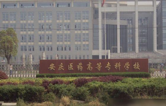 安庆市|高校_网易订阅