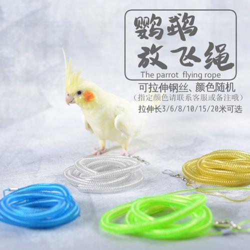 鸟用鹦鹉神器多样鸡媒绑脚绳颜色合金头脚环防逃跑时尚内置玄凤遛