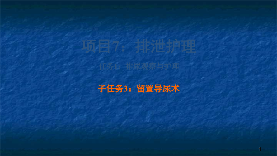 排尿观察与护理留置导尿术.ppt