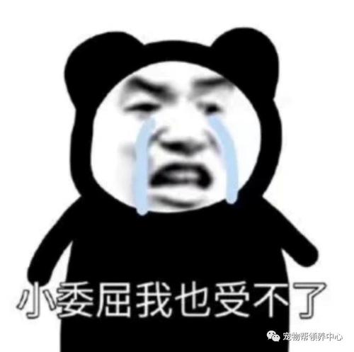 全错付在一肚子屎上了 受不了这种委屈的 @harbor当时就换了个头像