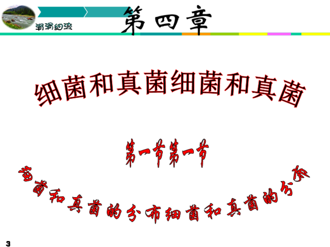 (共24张ppt)知识回顾生产者消费者分解者细菌和真菌第四章第一节细菌