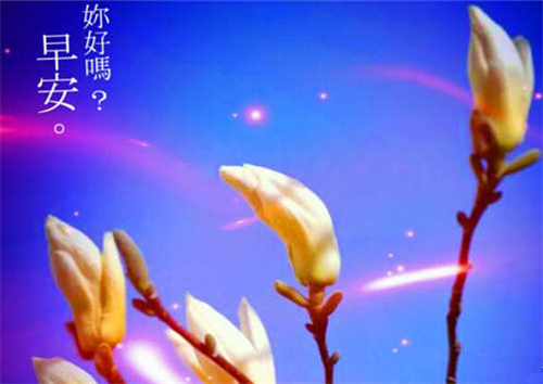 早上好温馨问候图片_简短而有力的问候