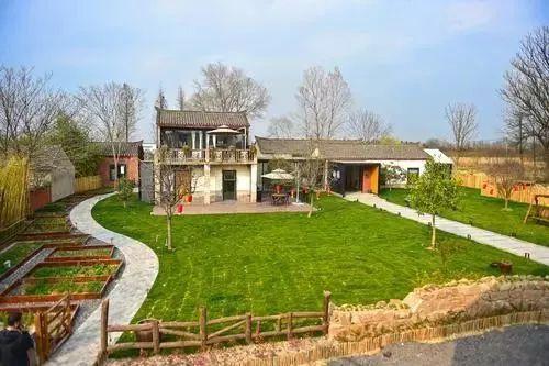 合肥一处村庄里,竟藏着个"小岭南"!还有