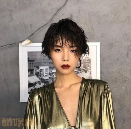 张婉清个人资料