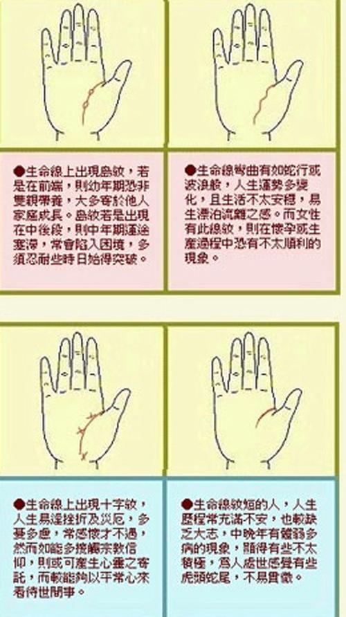 生命线分叉图解