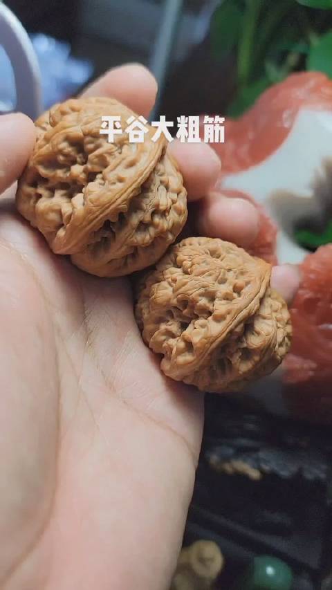 视频星计划##这就是中国风##文玩收藏#平谷大粗筋,这种核桃最早出现