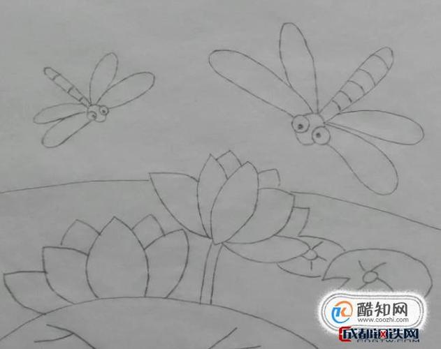 荷花与两只蜻蜓简笔画