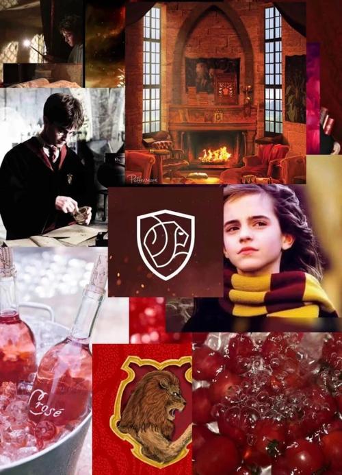 格兰芬多主题壁纸