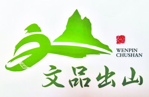 看!未来文山州三七电子商务将这样发展