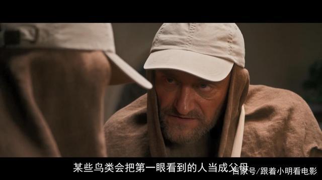 给我翅膀—豆瓣8.5冷门高分电影!改编真人实事男孩驾