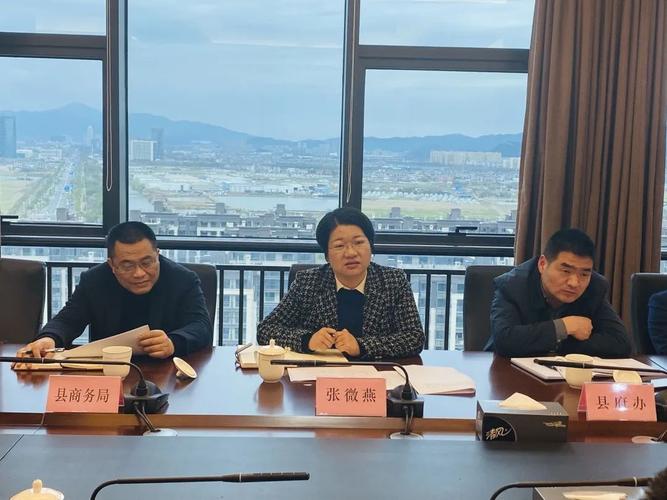 张微燕副县长调研大目湾重点工程建设