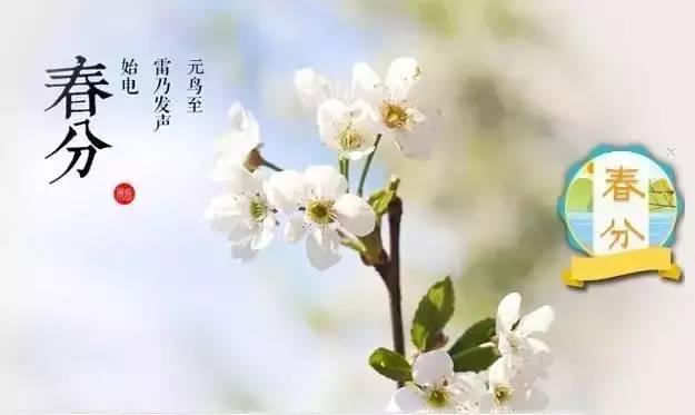 七十二物候:春分二候——雷乃发声