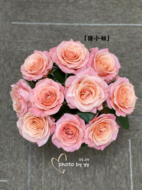 82玫瑰82猪小姐(方德荷冠)_鲜花_点缀生活的鲜花