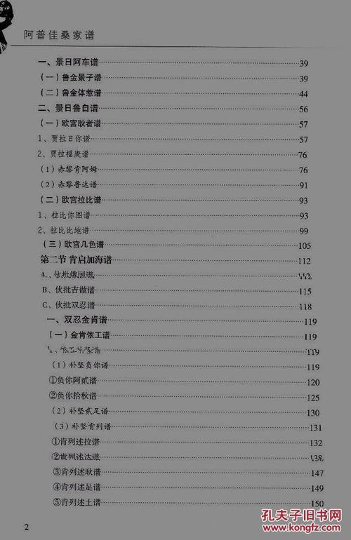 精装本阿普佳桑家谱杨氏彝族家谱少数民族家谱彝文汉文对照精装封面