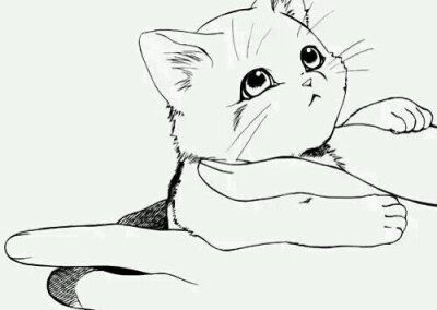 橡皮章 猫