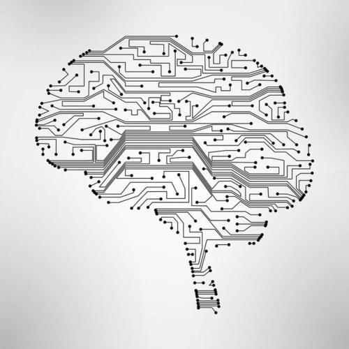 大脑简笔画图片