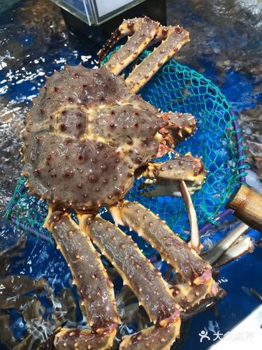 盒马鲜生(解百店)帝王蟹图片