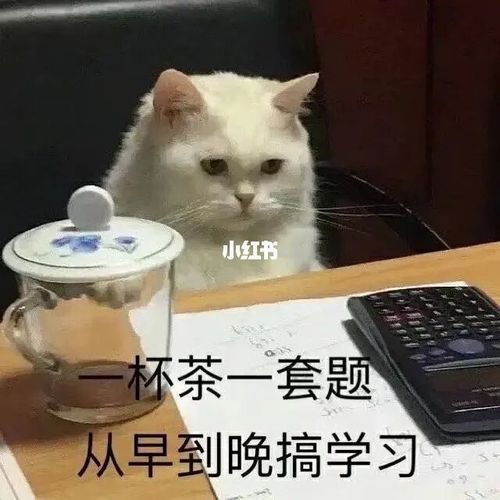 大家放假了都在忙什么呢_表情包_素材_表情包