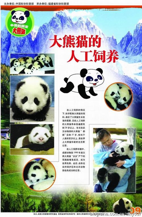 【科普挂图】中国的国宝大熊猫