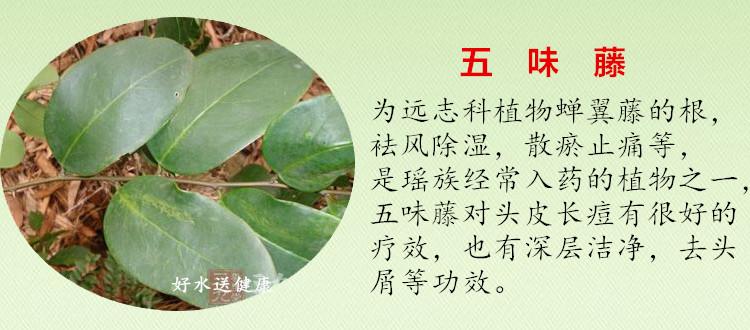 广西 首乌侧柏叶手工洗发水无患子茶籽无硅油修复洗发液750ml包邮