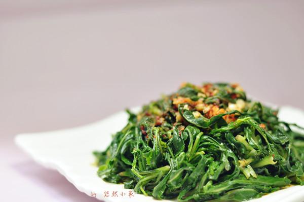 边看边做更方便        苦须又称荬菜,野苦菜,野苦荬,苦葛麻,苦荬菜
