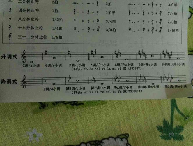 哪位大神能告诉我一下这些升调式和降调式是